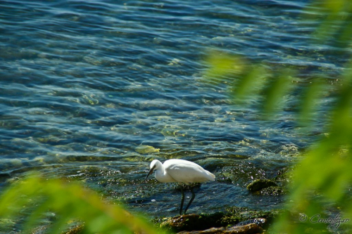 12_noiembrie_2011