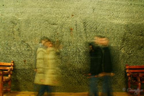 19_noiembrie_2011