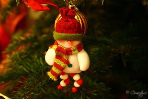 26_decembrie_2011