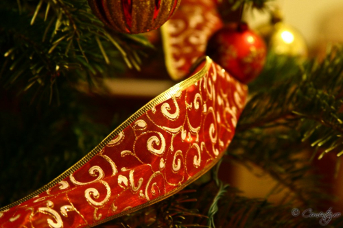27_decembrie_2011