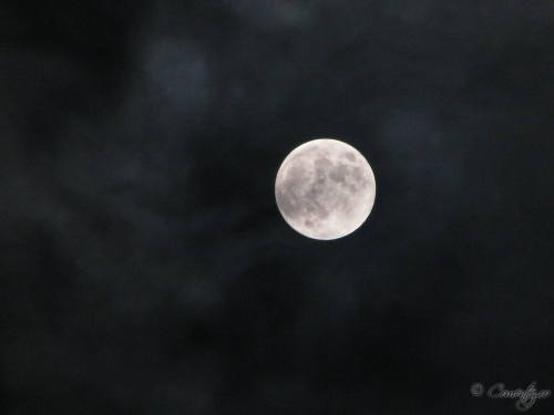 28_februarie_2012