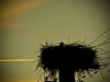 03_septembrie_2011