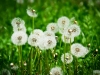13_aprilie_2012
