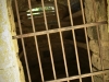 21_februarie_2012