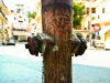 23_februarie_2012