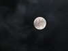 28_februarie_2012
