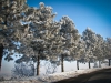 30_decembrie_2011