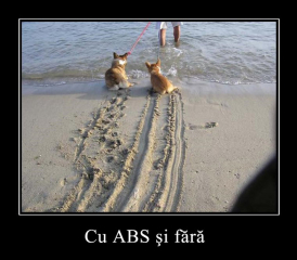 cu-abs-si-fara