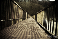 42e91cd3bf331b34c860fc979993c219